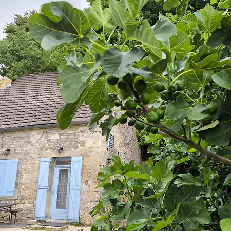 Сasa de vacaciones La Maison Bleue Paissy